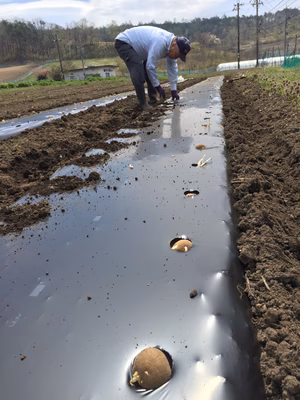 みんなの投稿の画像