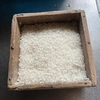 令和5年産米　千葉県匝瑳市産　コシヒカリ玄米