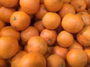 和歌山産　清見オレンジ　家庭用