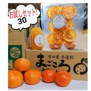 限定30】小原紅みかん付　大ちゃんの畑農園のバラエティーお試しセット