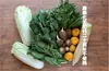 自分で作れる野菜キットつき✨家庭菜園講座in松戸✨✨２名様～