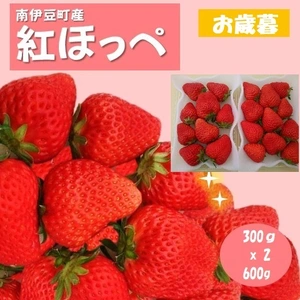 【お歳暮】完熟いちご(紅ほっぺ)300g2パック(DXパック)