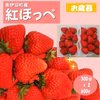 【お歳暮】完熟いちご(紅ほっぺ)300g2パック(DXパック)