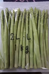 今が旬！夏芽アスパラガス　L〜2Lサイズ1kg
