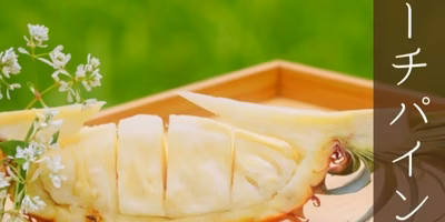 【スタッフ注目の新着商品4/19】希少なピーチパイン🍍、ひと味違った生野菜✨おつまみべじ🥗など