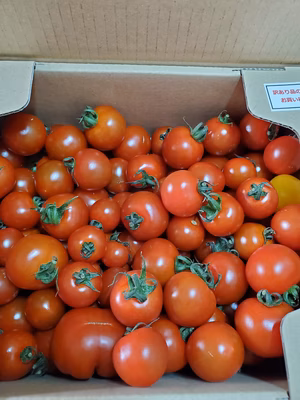 みんなの投稿の画像