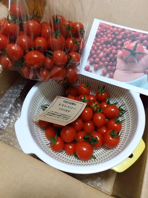 みんなの投稿の画像