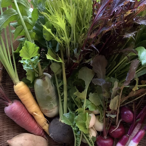 自然栽培　季節の旬野菜セット［8〜10種］