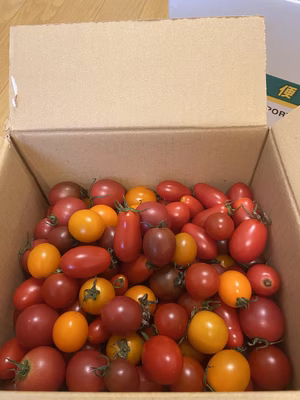 みんなの投稿の画像