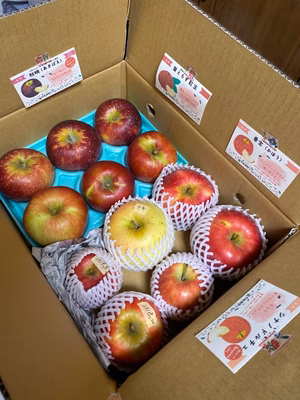 みんなの投稿の画像