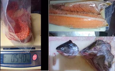 みんなの投稿の画像