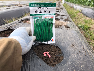 みんなの投稿の画像