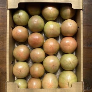 秋味トマト　桃太郎　サイズお任せ 4Kg箱