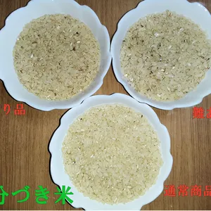 もっちり、つやつや！5分づき米　喜多村家のお米　にこ　難あり品