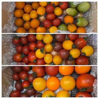 みんなの投稿の画像