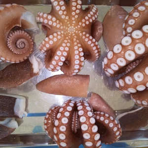 関門海峡産★関門海峡たこ＆あかもくセット（冷凍）少量セットから