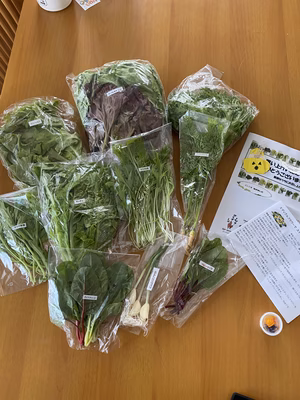 みんなの投稿の画像