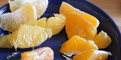 旬の柑橘（かんきつ）食べ比べ！自分好みの”みかん”を見つけてみよう！