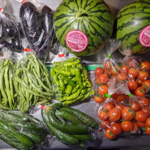 インゲン、キュウリ、シシトウ、スイカ、トマト、ナス