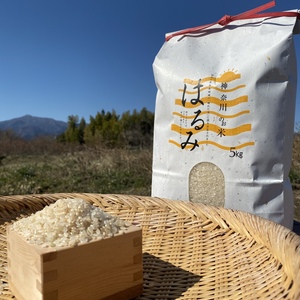 精米　神奈川県産はるみ5kg