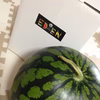 大玉すいか1個入り箱