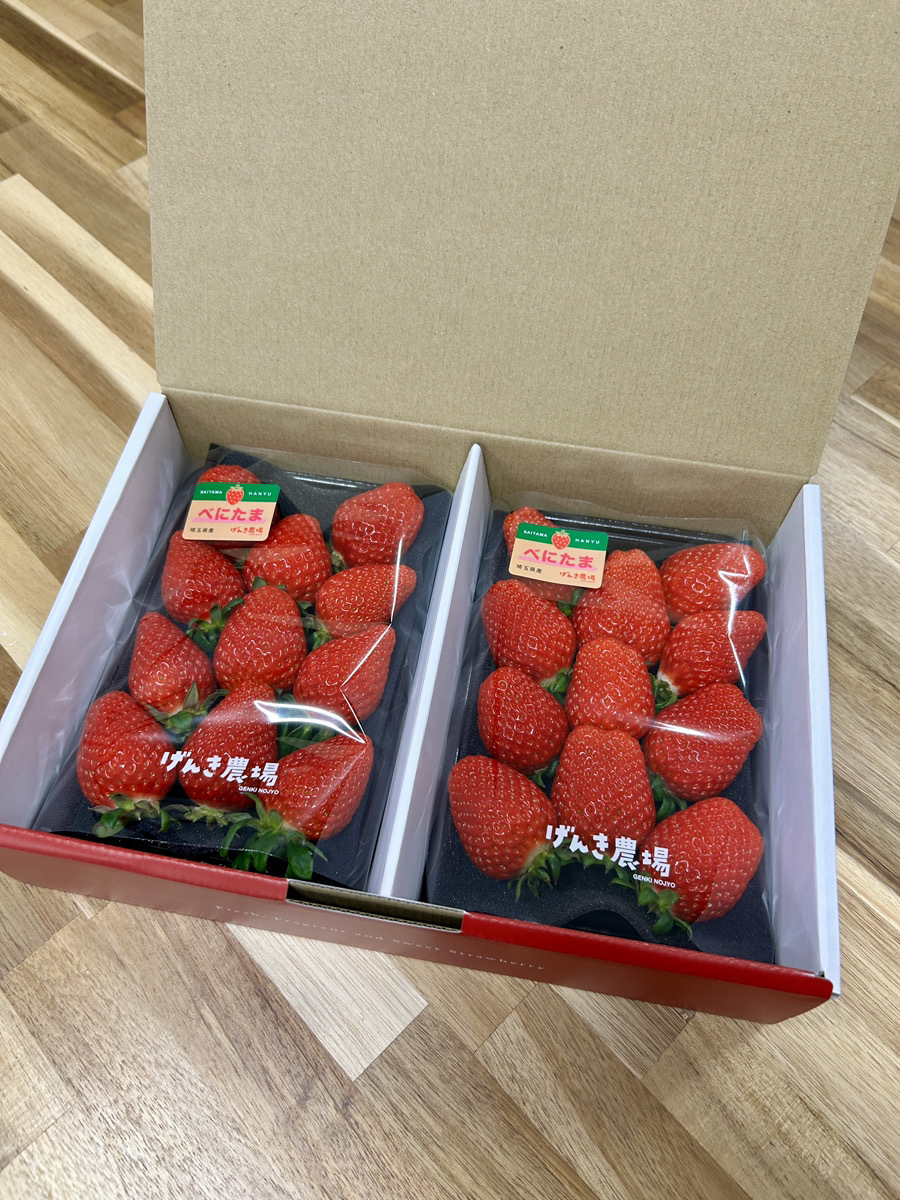 とちおとめの産直通販・お取り寄せ商品｜ポケットマルシェ｜産地直送で