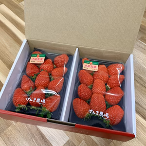 【クリスマスいちご選手権 2年連続最高金賞】埼玉県限定品種べにたま