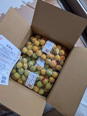 みんなの投稿の画像