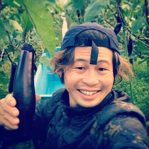 朝採り茄子12本が翌日に届く(一部地域を除く)