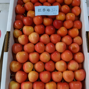 さくらんぼ大将錦と紅秀峰