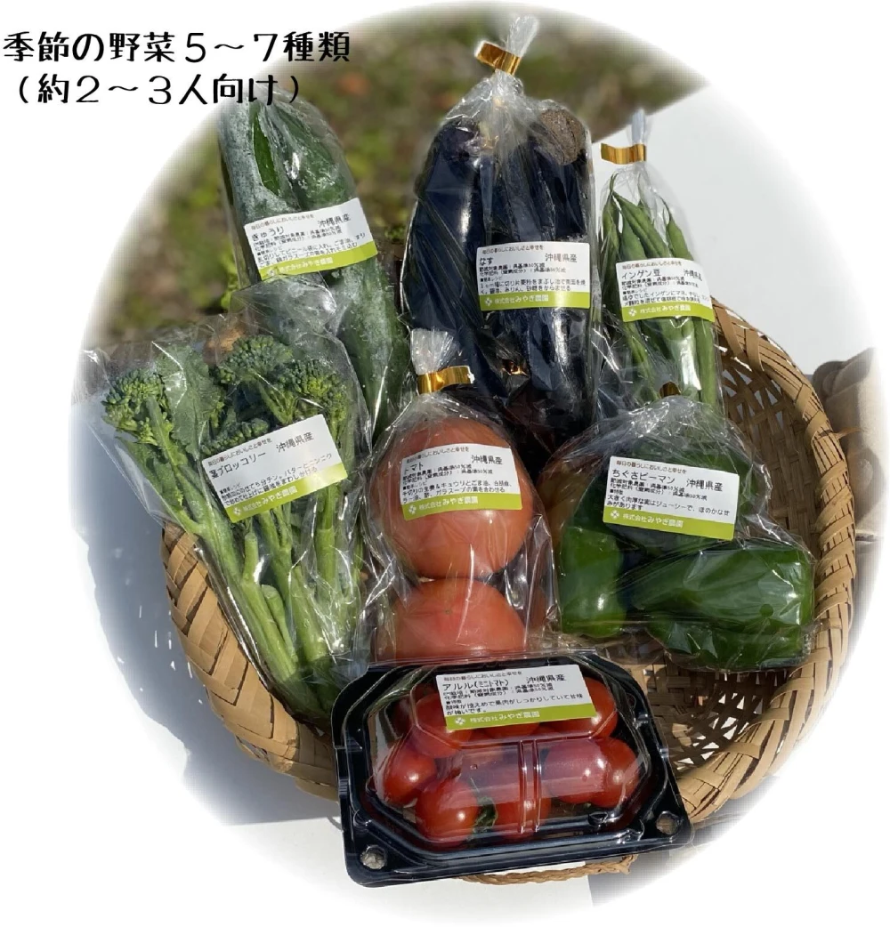 【夏期】沖縄県産 季節の野菜セット（野菜5～７種類（２～３人向け））
