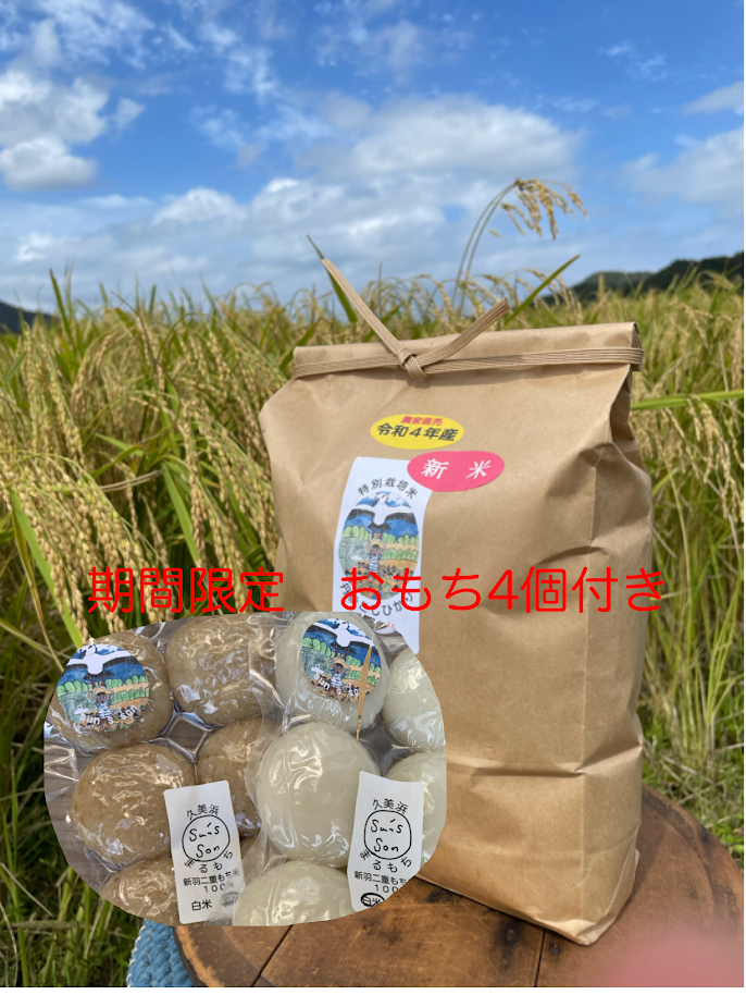 無農薬【玄米餅】800g(16～20個前後) 京都・美山産