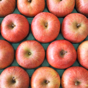 ちいさいふじりんご/特別栽培/ネオニコ不使用