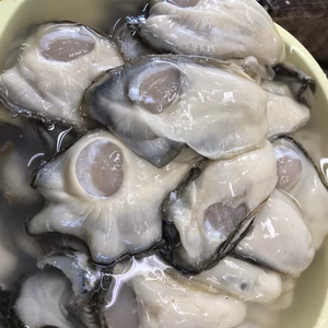 よねさき牡蠣【加熱用むき身】ぷりぷり濃厚♪