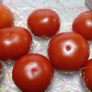 太陽いっぱい完熟トマト