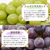【送料無料】山形県産  シャインマスカットと品種お任せぶどう詰合せセット