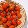 採れたて直送ミニトマト！【農学博士のDr.トマト】クール便