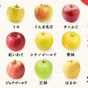 目指せ！旬の9品種を制覇「りんごのコンプリート定期便」