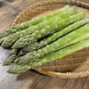 〖予約〗安曇野産 朝採りアスパラ｜極太2L〜4L｜甘くてジューシー｜4月発送