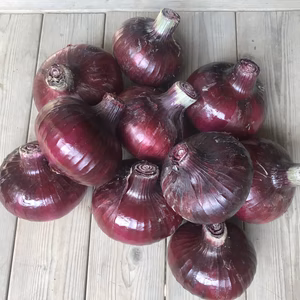 赤玉ねぎ『ケルたまルビー』3kg【漢方栽培】