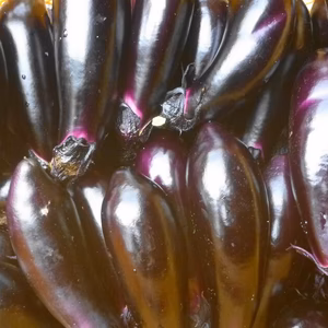 キュウリ＊茄子＊モロッコいんげんで猛暑払い！～農薬/化学肥料・不使用