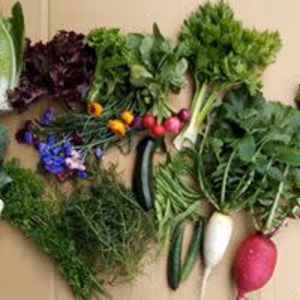 私たちの畑からみんなの食卓へ♪新鮮野菜セット（毎週）