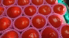 希少な品種『レディーファースト』トマト 大玉大箱！