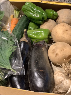 みんなの投稿の画像