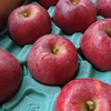 甘くて酸味の少ない美味しいリンゴ「すわっこ」家庭用 送料別
