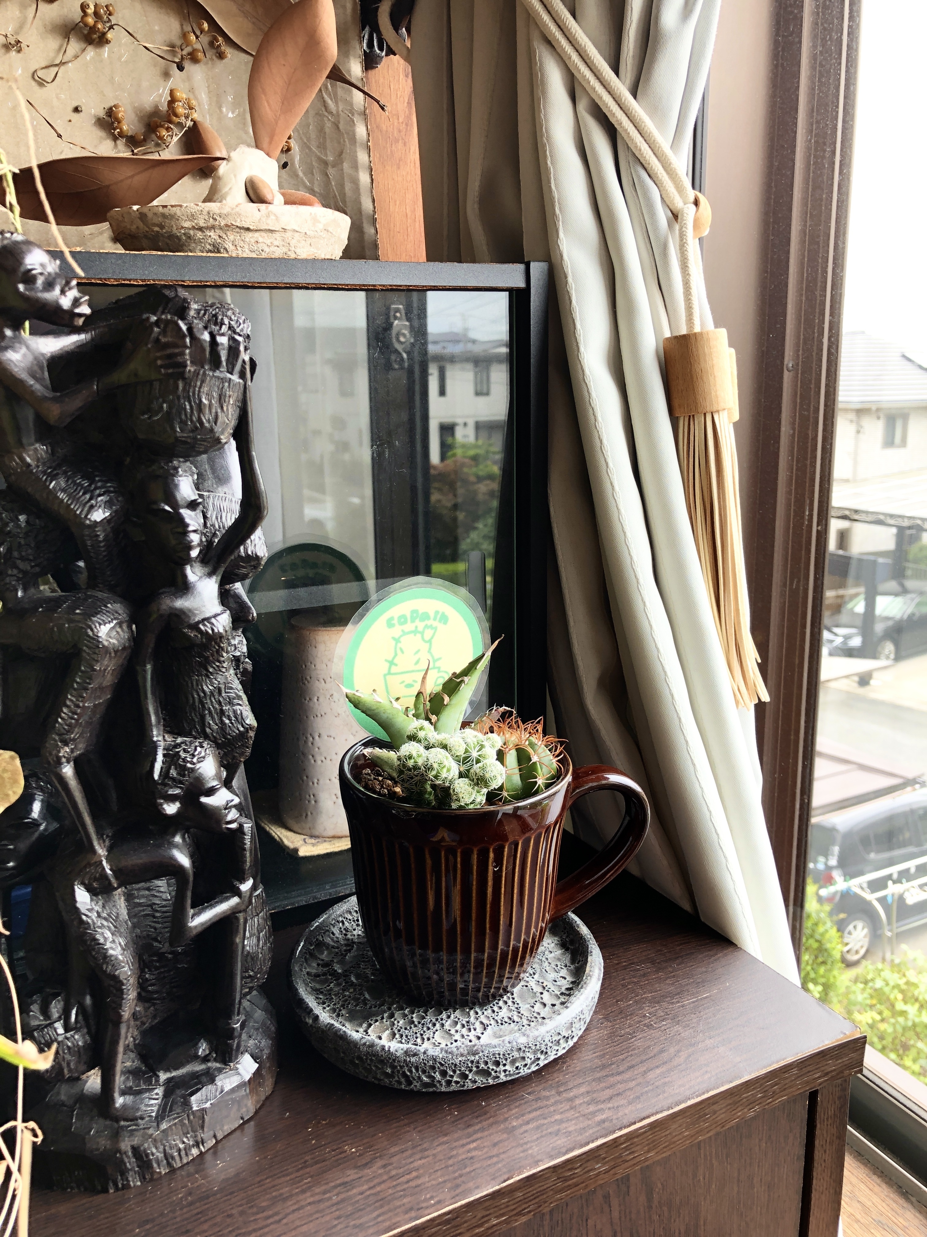 愛知県半田市｜コパンサボテン園｜片岡寛武さんの生産者プロフィール