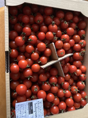 みんなの投稿の画像