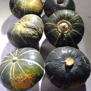 ハロウィンにぴったり❗ミニミニかぼちゃ❗食べ切りサイズ６個