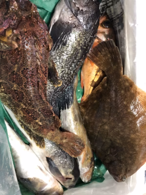 みんなの投稿の画像