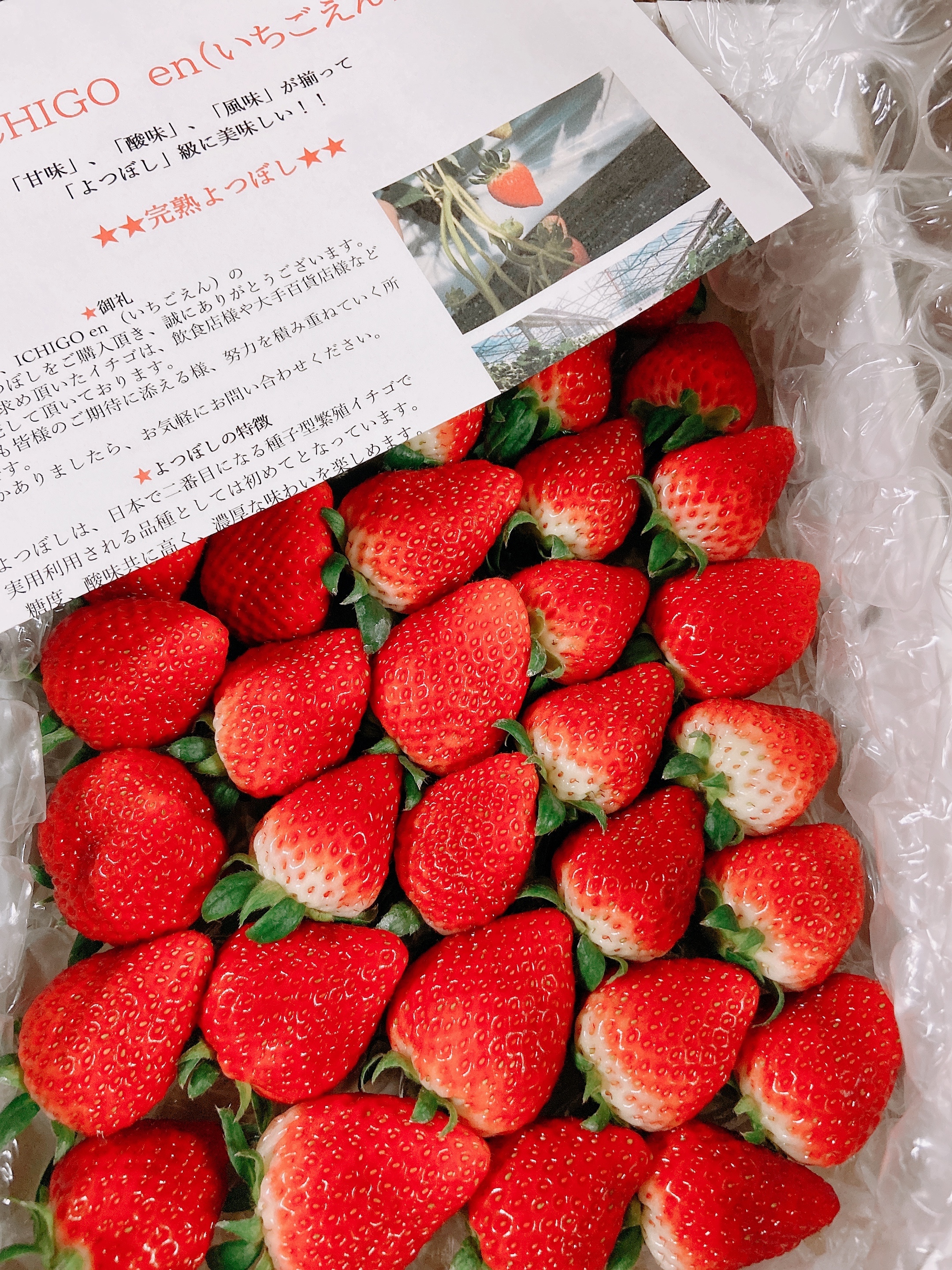 おうちなめこ栽培、とてもお上手です????ごちそうさま投稿で出会う旬食材20選(12月27日編) | 農家漁師から産地直送の通販 ポケットマルシェ おうちなめこ栽培、とてもお上手です????ごちそうさま投稿で出会う旬食材20選(12月27日編) | 農家漁師から産地直送の通販 ポケットマルシェ
